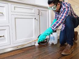 Best Pest Prevention Services  in Roselle Park, NJ