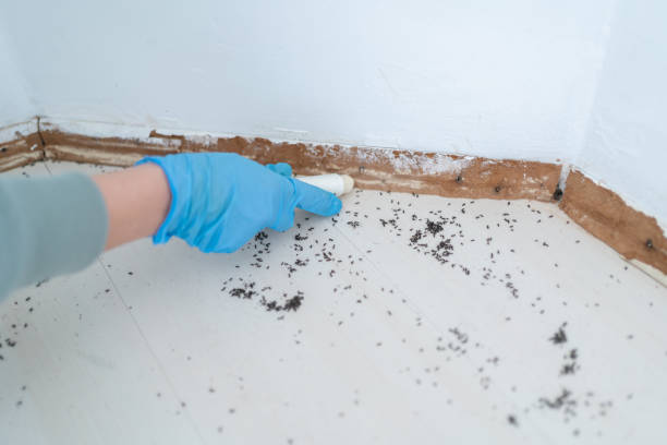 Best Pest Control for Multi-Family Homes  in Roselle Park, NJ